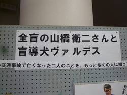 P1100680.JPG